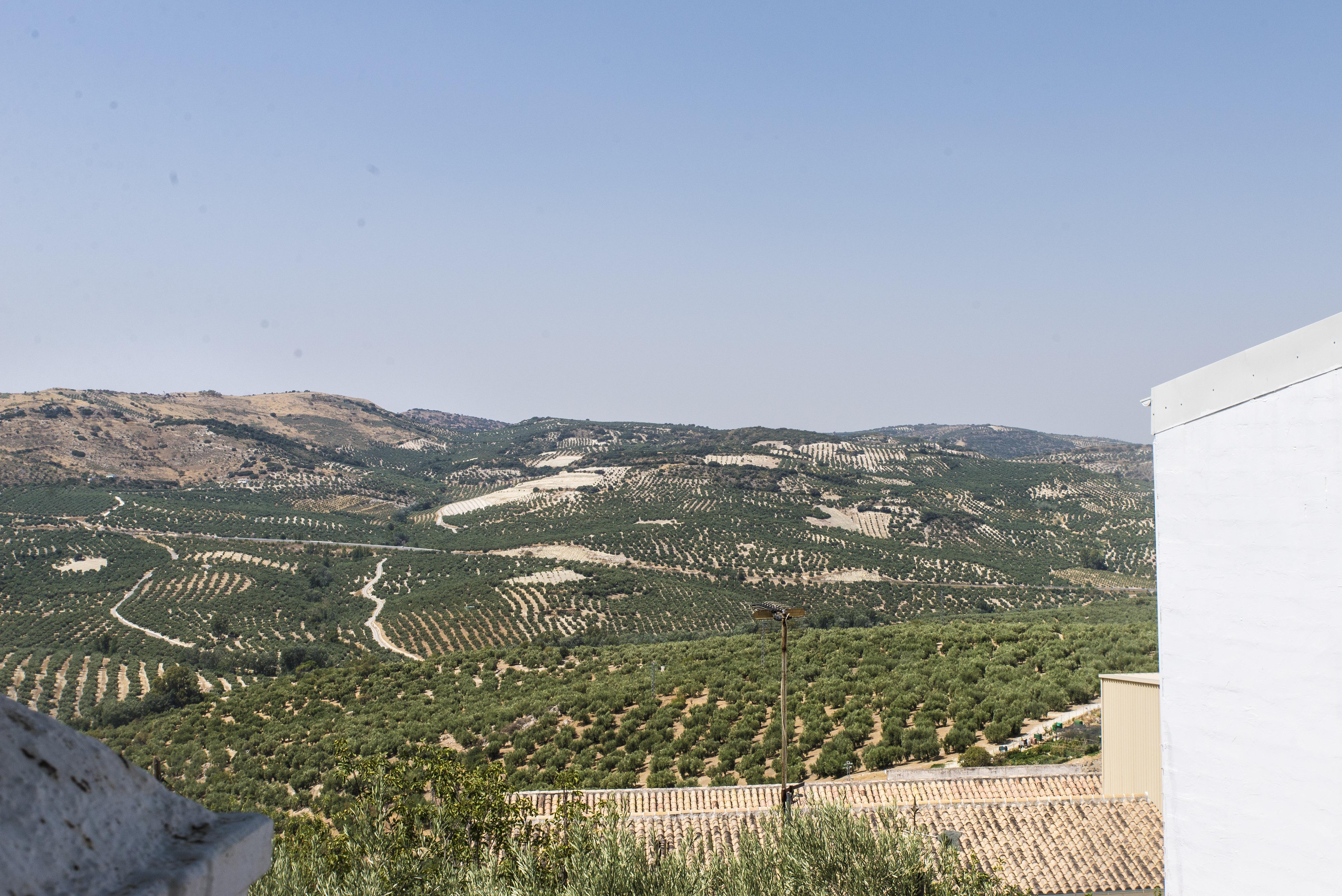 זוהרוס Hotel Zuhayra מראה חיצוני תמונה